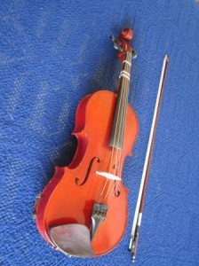 Viola2