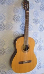 viol o1